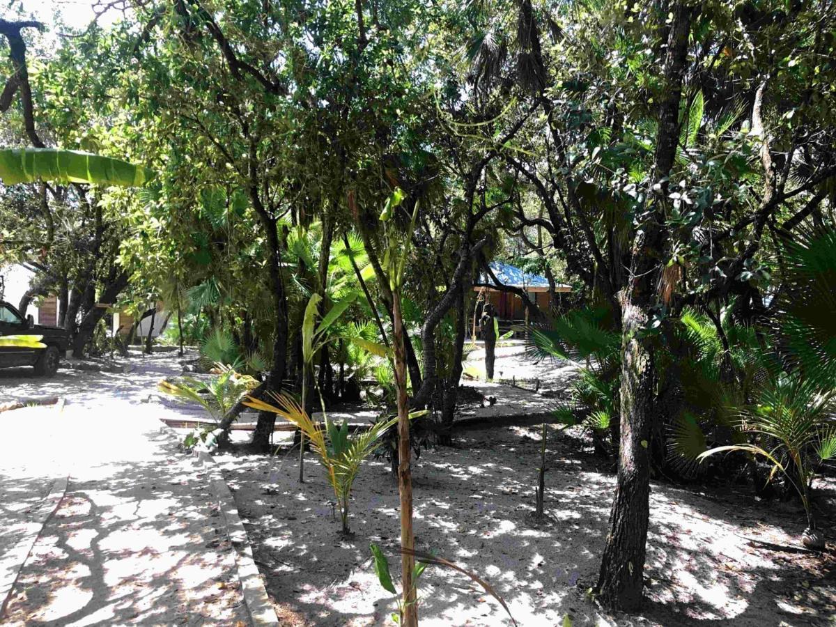 Kin Resort Lodge Maya Beach Bagian luar foto